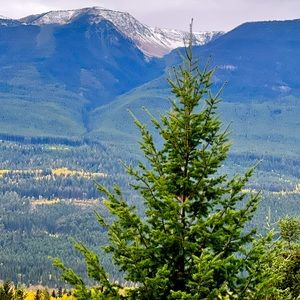 Meet your Posher! Mary